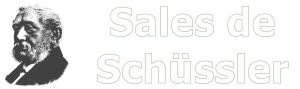 Curso de Sales de Schüssler